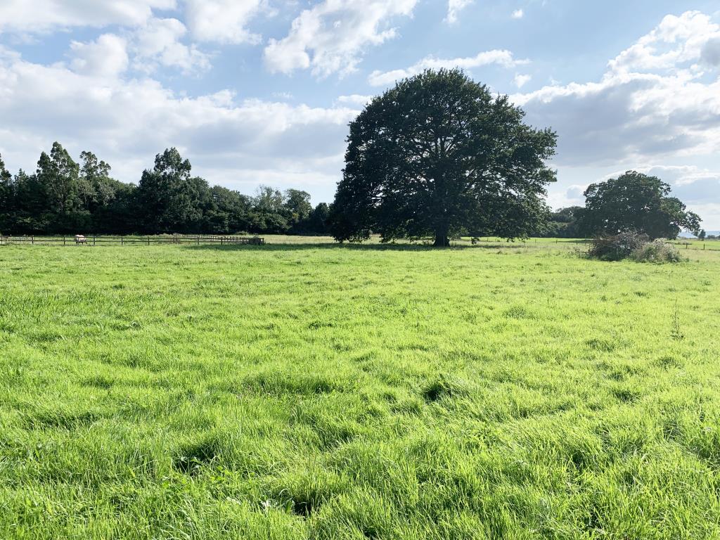 Lot: 158 - PARCEL OF PRIME PASTURE LAND WITH POTENTIAL - 